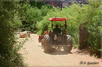 Traktor im Canyon
